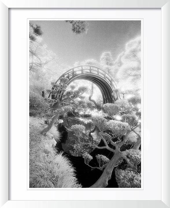 "Chinese Tea Garden" by Daniel Furon Photography