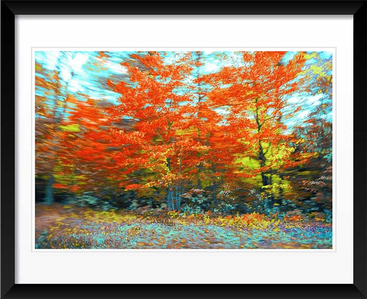 "Pennsylvania" by Daniel Furon Photography