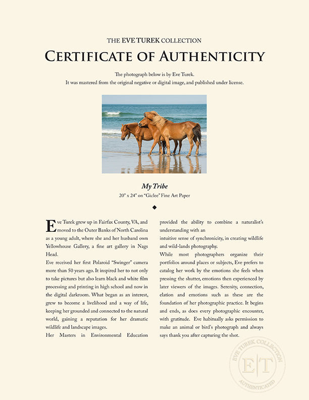 "My Tribe" by Eve Turek Photography