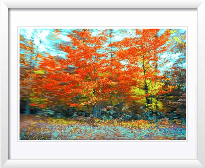 "Pennsylvania" by Daniel Furon Photography