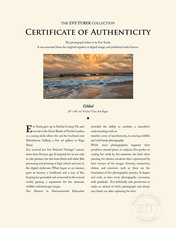 "Gilded" by Eve Turek Photography