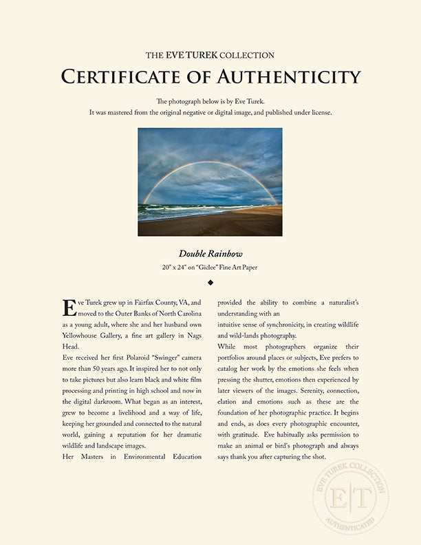 "Double Rainbow" by Eve Turek Photography