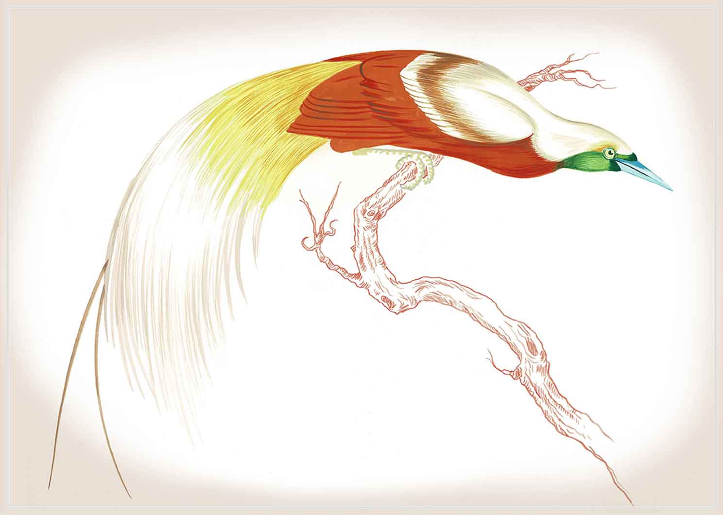 "Swoop & Sway 2" by Metin Salih