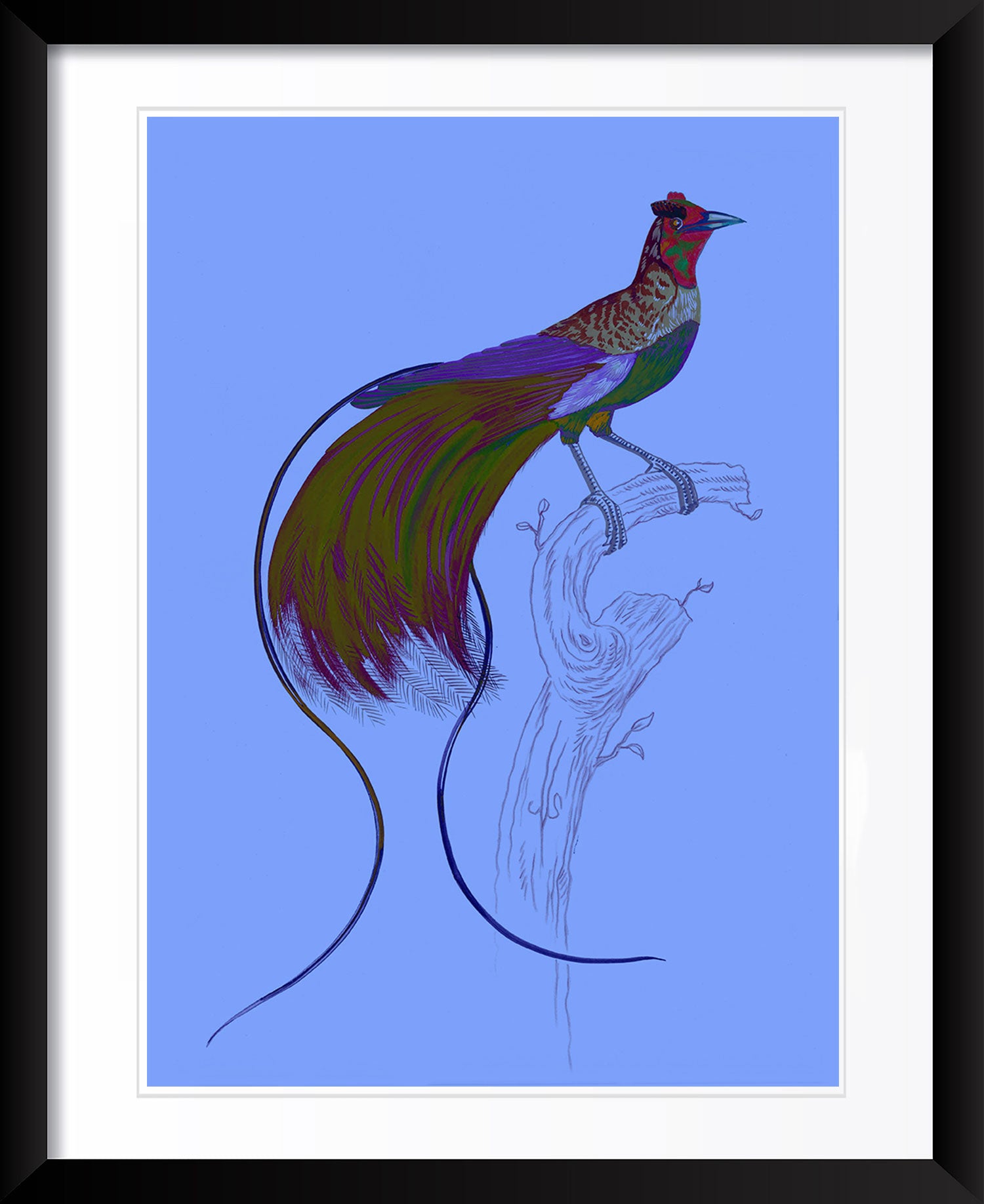 "Kid Creole 3" by Metin Salih