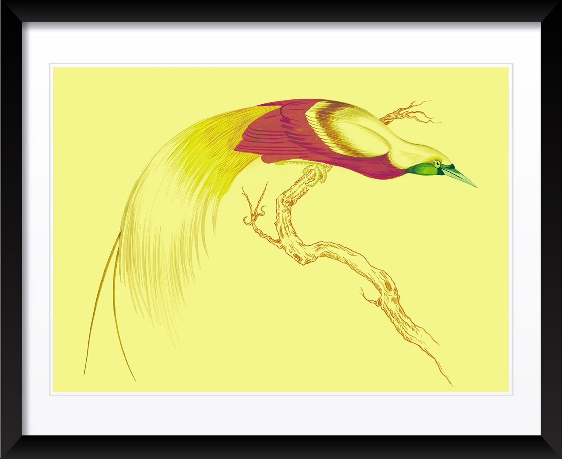 "Swoop & Sway 5" by Metin Salih