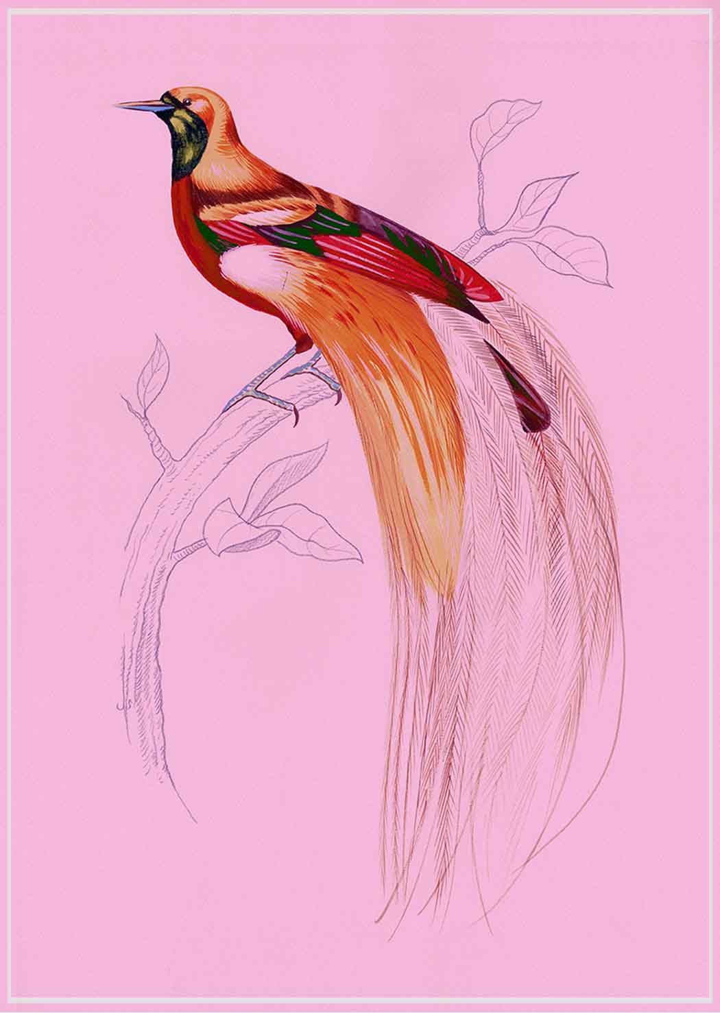 "Fashionista 2" by Metin Salih