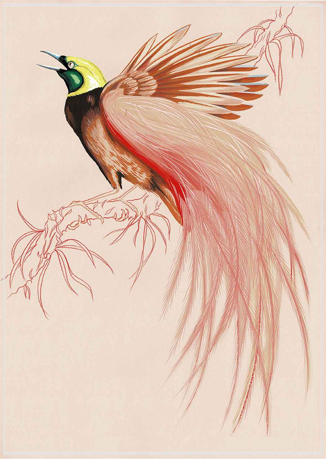 "Sugar Boo 1" by Metin Salih