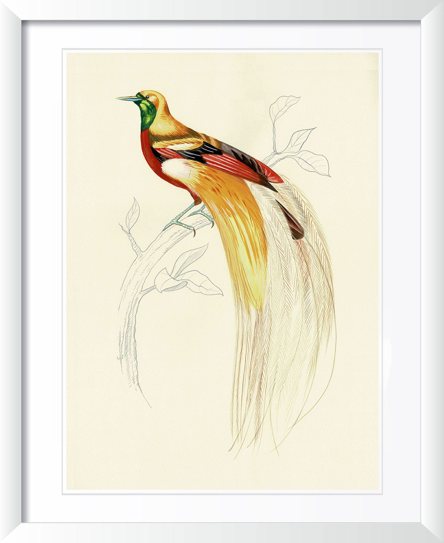 "Fashionista 1" by Metin Salih