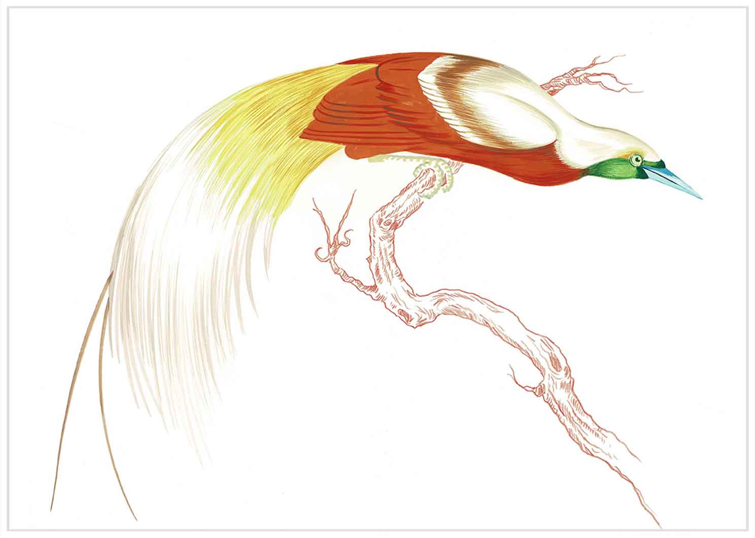 "Swoop & Sway 1" by Metin Salih