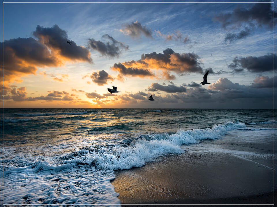 "Morning Flight" by Christopher Petsos Photography