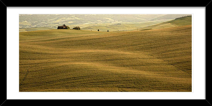 "Amber Waves" by Christopher Petsos Photography