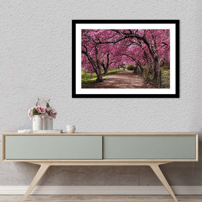 "Under the Cherry Bloom" Wall Art by Christopher Petsos
