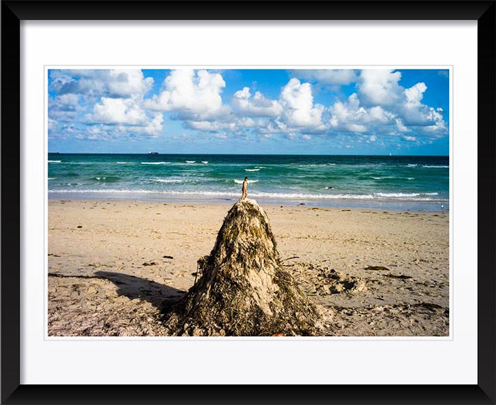 "Lummus Park, Miami Beach, Miami, FL" by Chris Suspect Photography