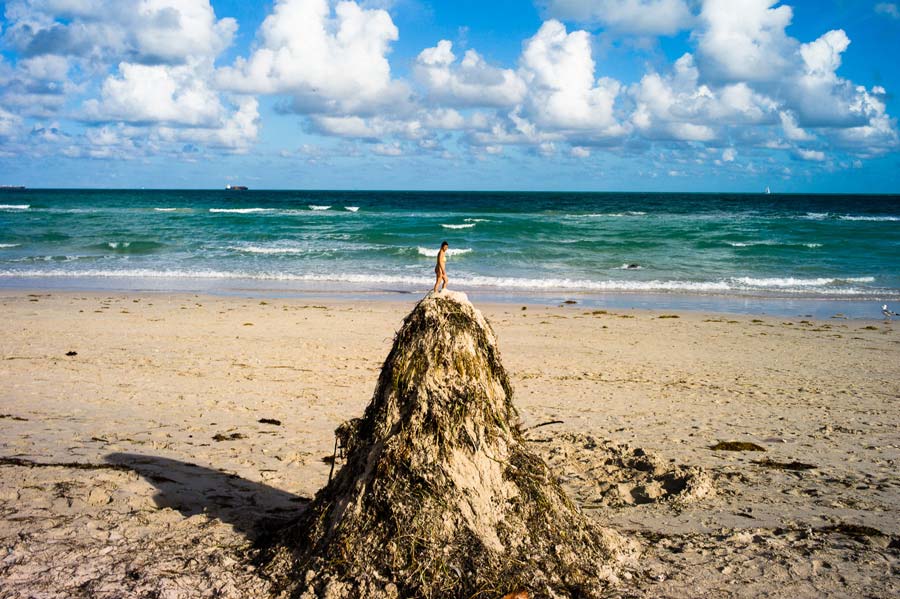 "Lummus Park, Miami Beach, Miami, FL" by Chris Suspect Photography-Artography Limited