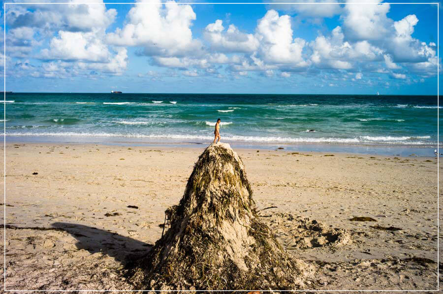 "Lummus Park, Miami Beach, Miami, FL" by Chris Suspect Photography-Artography Limited