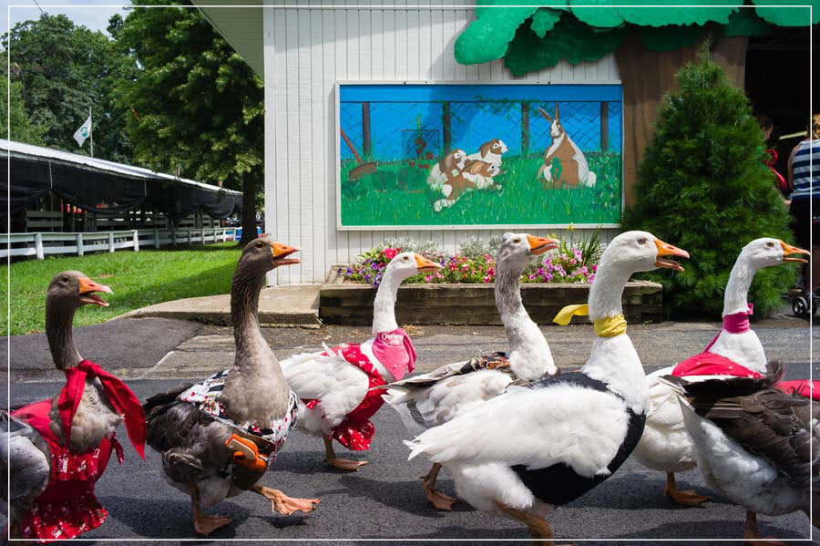 "16 Chestnut Street, Gaithersburg, MD" by Chris Suspect Photography-Artography Limited