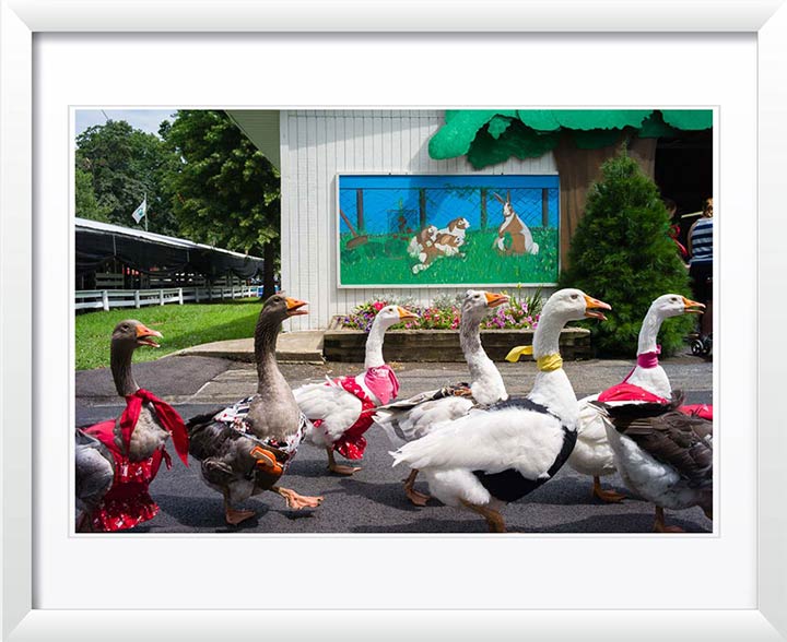 "16 Chestnut Street, Gaithersburg, MD" by Chris Suspect Photography