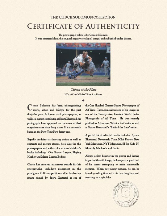 "Gibson at the Plate" by Chuck Solomon Photography-Artography Limited