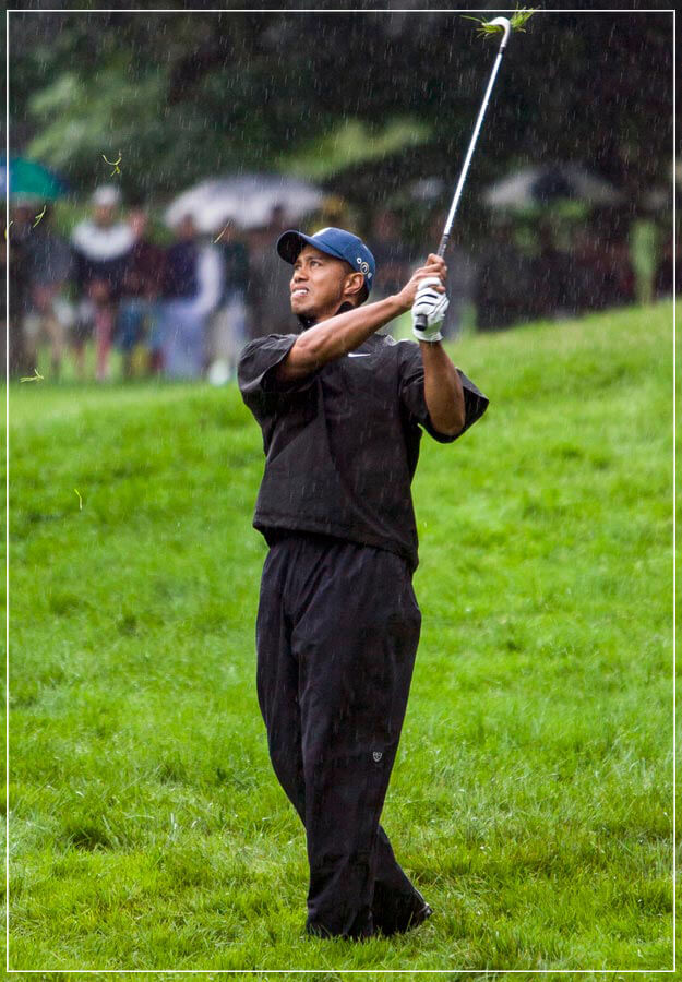 "Tiger" by Chuck Solomon Photography-Artography Limited