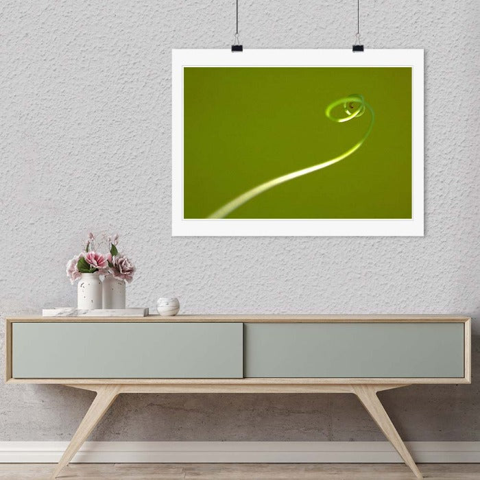 "Tendril" by Daniel Furon Photography-Artography Limited