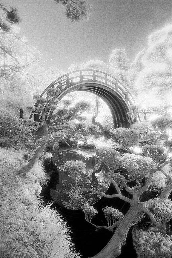 "Chinese Tea Garden" by Daniel Furon Photography-Artography Limited