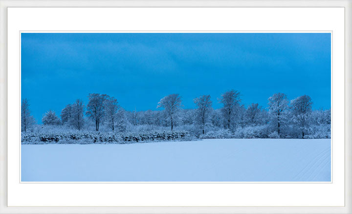 "Danish Winter Morning" by Dorte Verner Photography