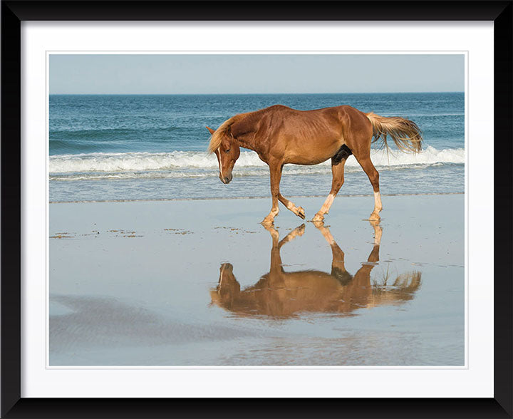 "Bay Reflection" by Eve Turek Photography