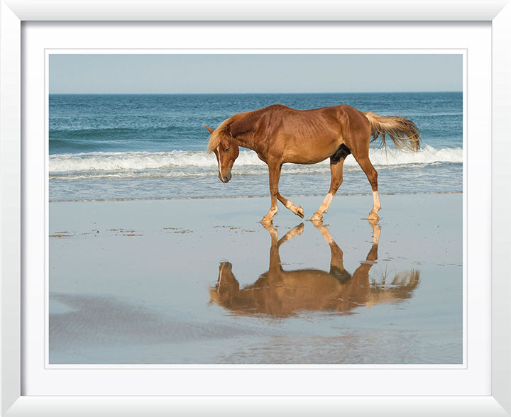 "Bay Reflection" by Eve Turek Photography