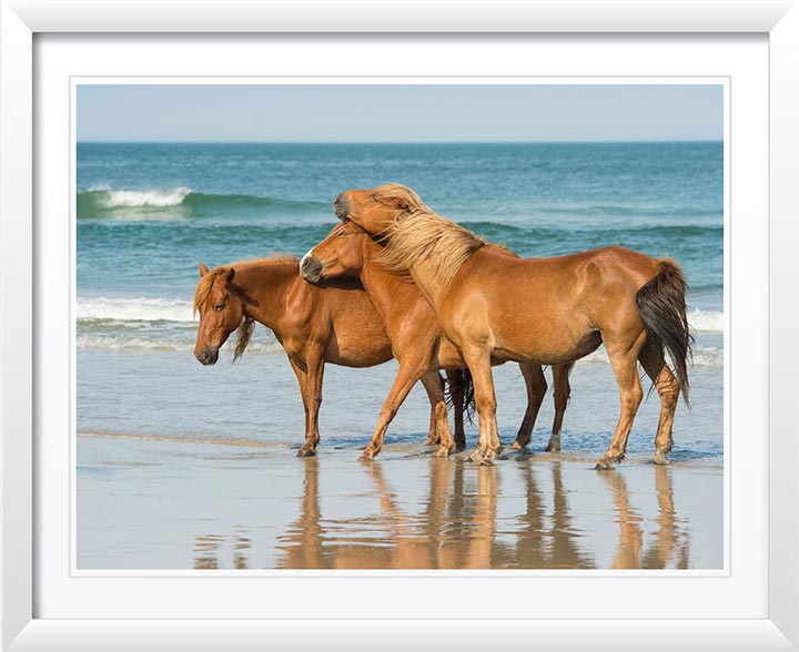 "My Tribe" by Eve Turek Photography