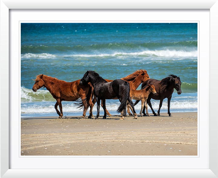 "Renzis Family" by Eve Turek Photography