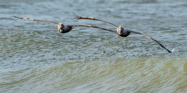 "Perfect Pairing" by Eve Turek Photography