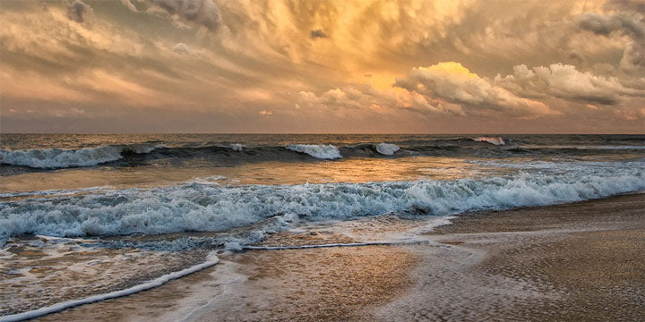 "Gilded" by Eve Turek Photography