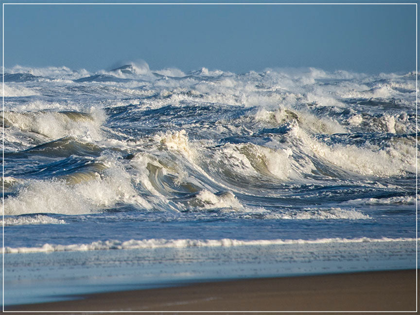 "Surfs Up" by Eve Turek Photography