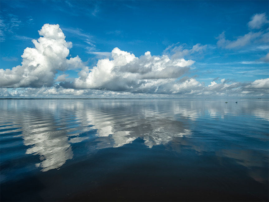 "Bluebird Morning" by Eve Turek Photography