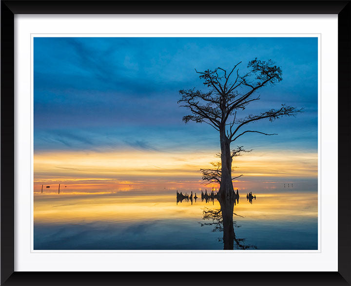 "Celebrate the Evening" by Eve Turek Photography