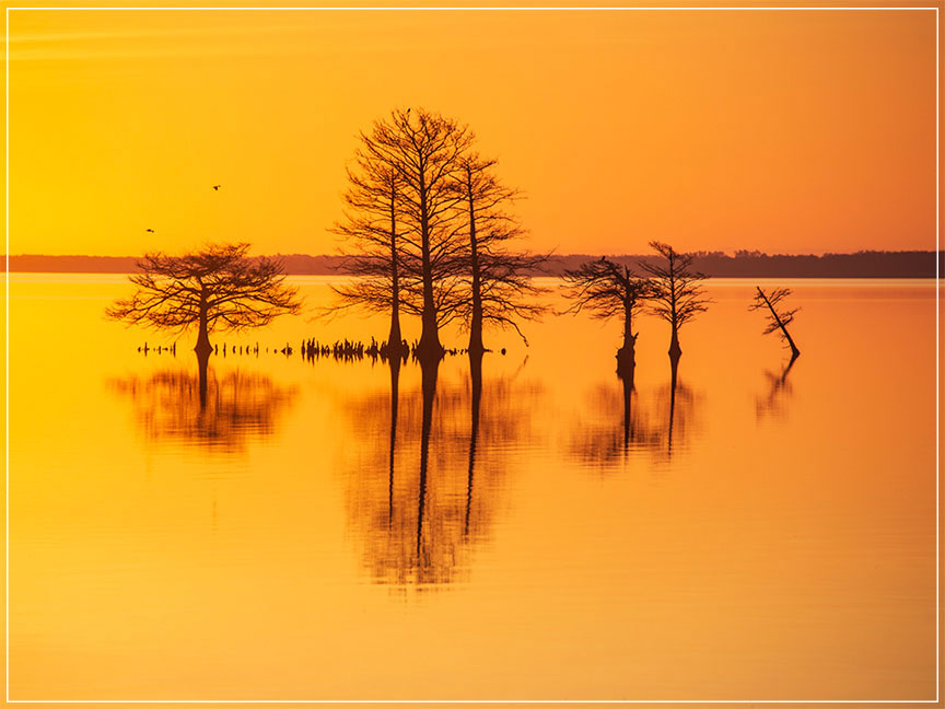 "Good As Gold" by Eve Turek Photography