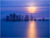 "Moonlight Sonata" by Eve Turek Photography