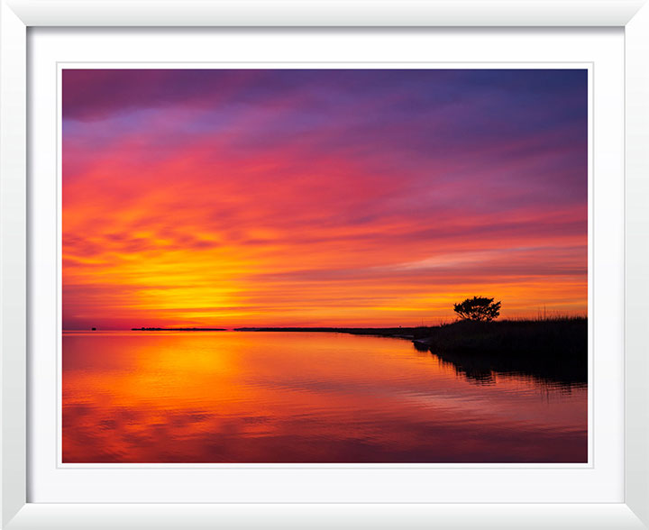 "Crescendo" by Eve Turek Photography