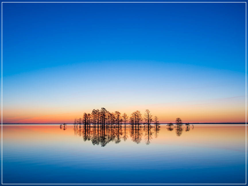 "Anticipation" by Eve Turek Photography