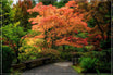 "Japanese Gardens" by Joshua Johnston Photography-Artography Limited