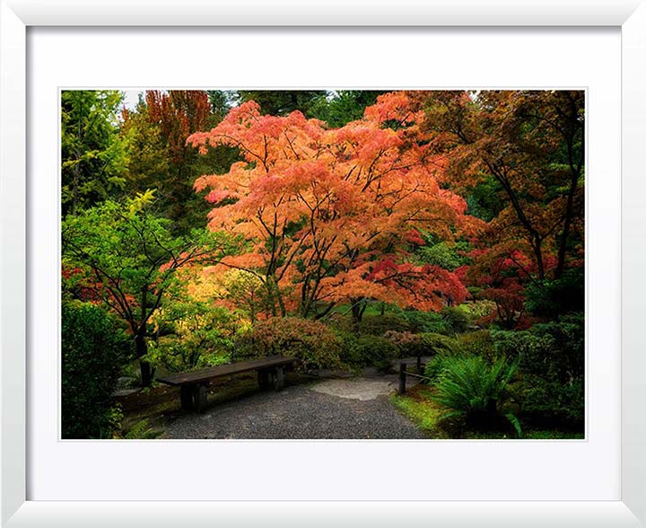 "Japanese Gardens" by Joshua Johnston Photography