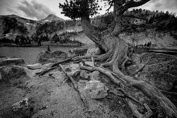 "Timeless" by Joshua Johnston Photography