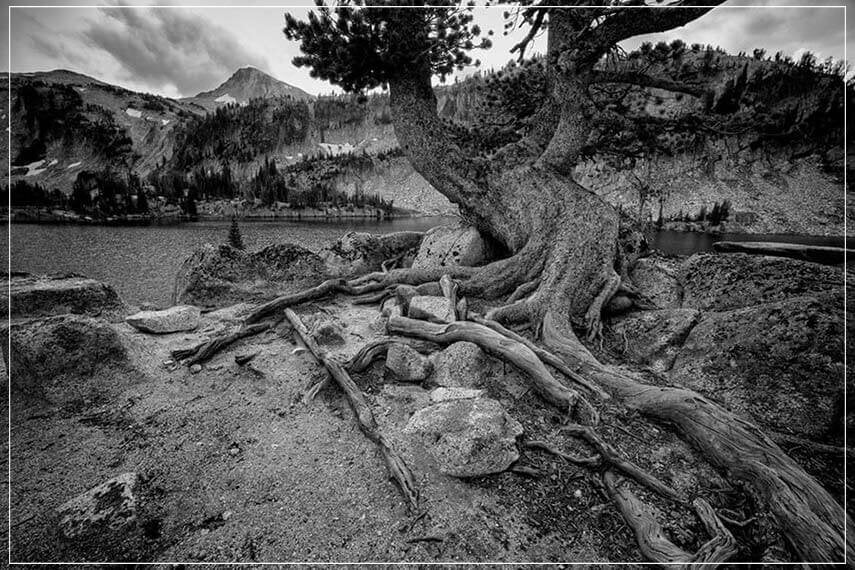 "Timeless" by Joshua Johnston Photography-Artography Limited