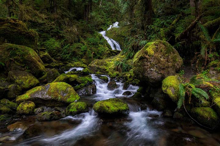 "Bunch Falls" by Joshua Johnston Photography