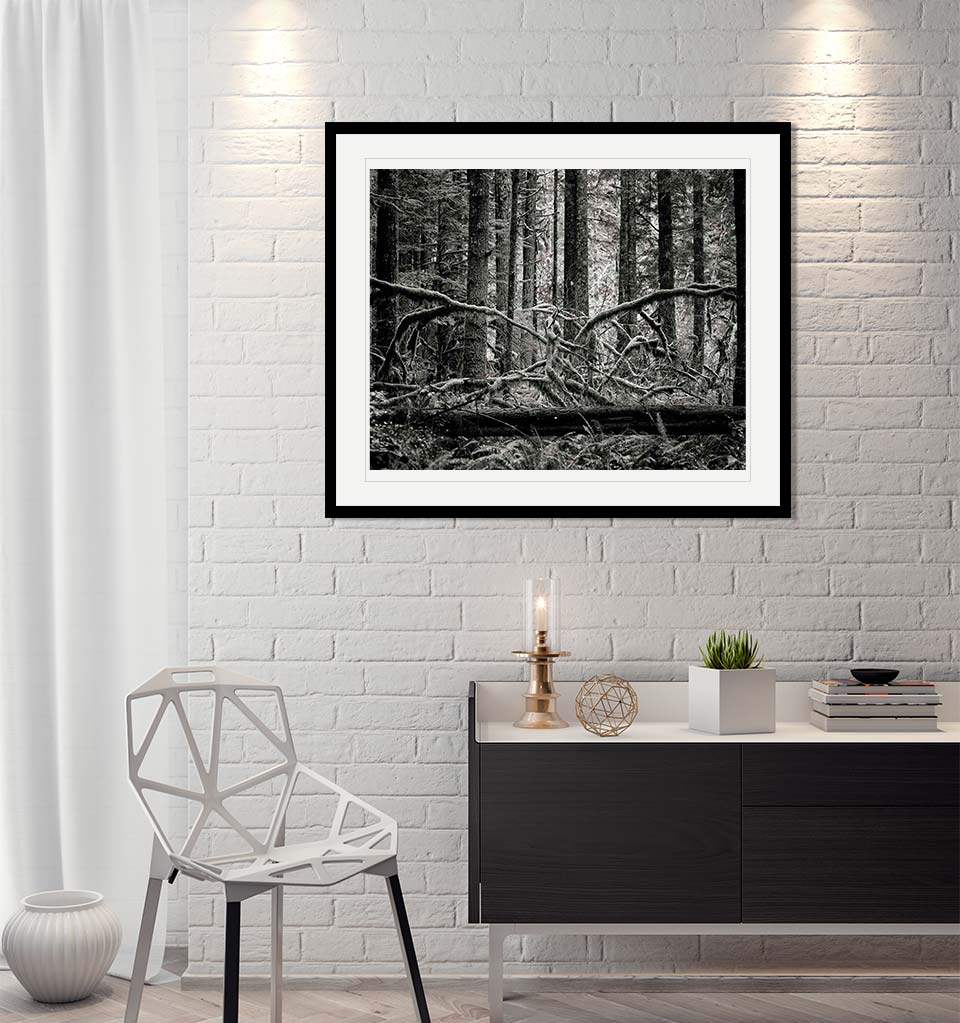 "Creature of the forest" by Joshua Johnston Photography-Artography Limited