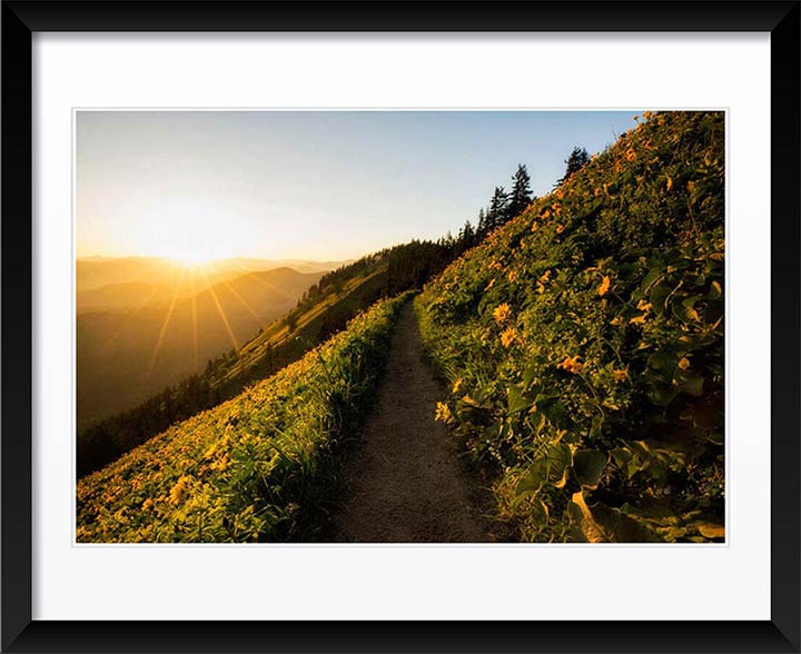 "An evening walk" by Joshua Johnston Photography