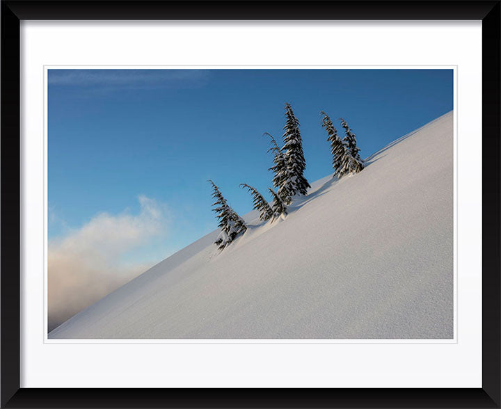 "Family" by Joshua Johnston Photography