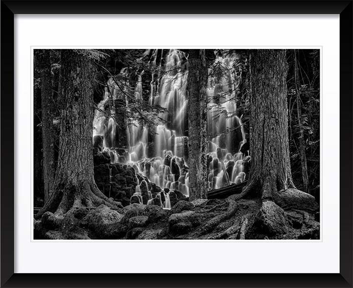 "Guarded Dreams" by Joshua Johnston Photography