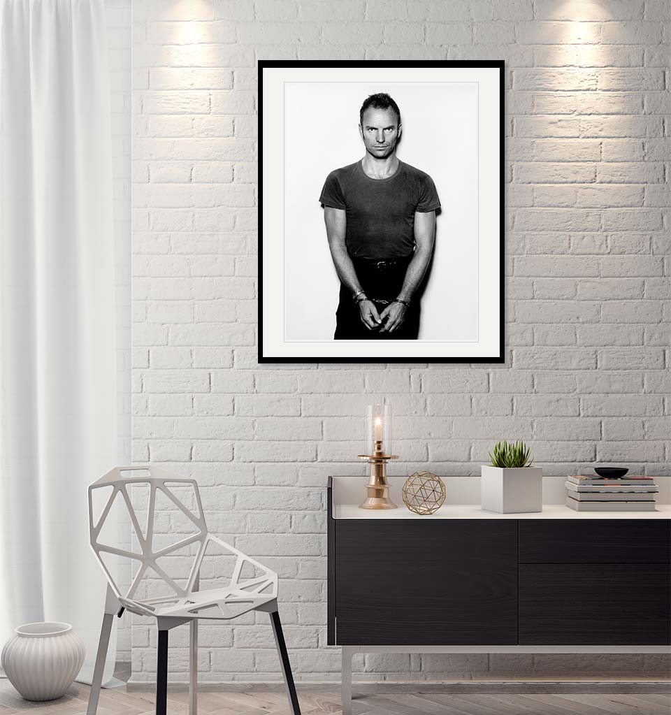 "Sting" by John Stoddart Photography-Artography Limited