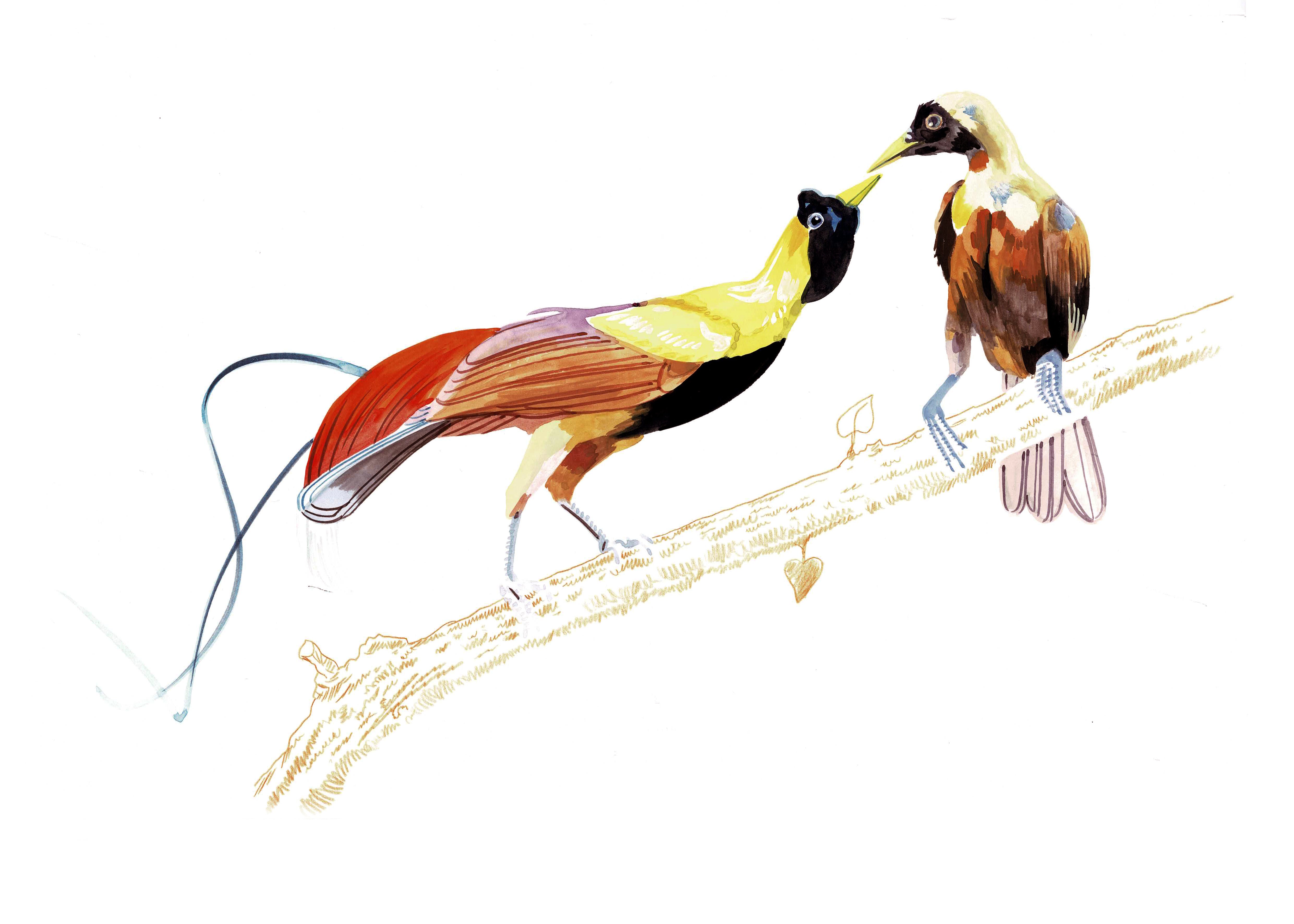 "The Love Birds 1" by Metin Salih